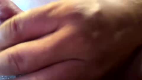 hvalbrecht online show from 01.12.25