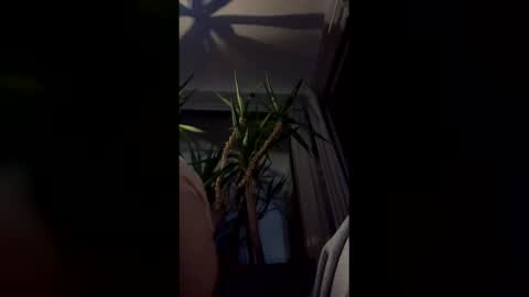 hypervenom369888 online show from 03.07.26