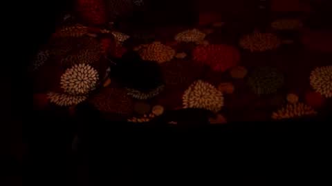 MADAM  MISTRESS ASIANA online show from 12.21.25