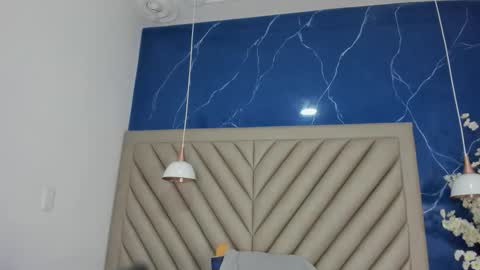 Snapshot of ibbie_ chatting on 11.29.25 ibbie_ online show from 11.29.25