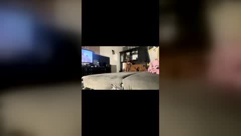 ibigboy666 online show from 04.20.26
