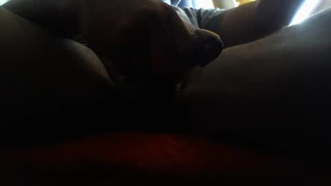 icecreamman6986 online show from 01.01.25