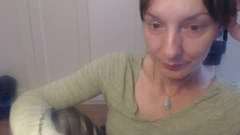 Ifk Donkeys online show from 09.11.25