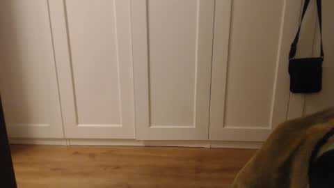 Ifk Donkeys online show from 09.14.25