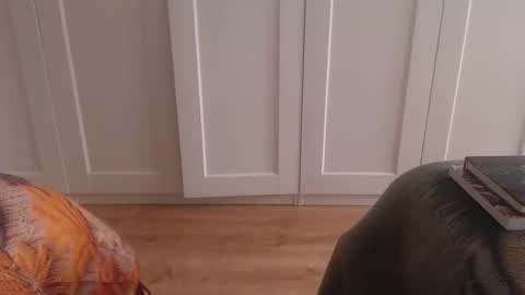 Ifk Donkeys online show from 11.09.25