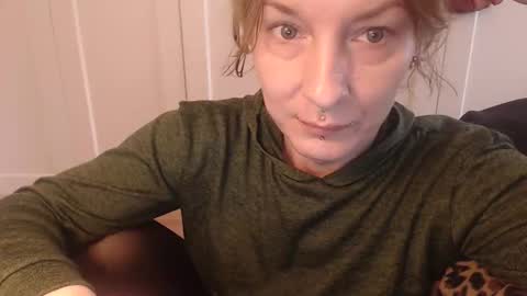 Ifk Donkeys online show from 11.14.25