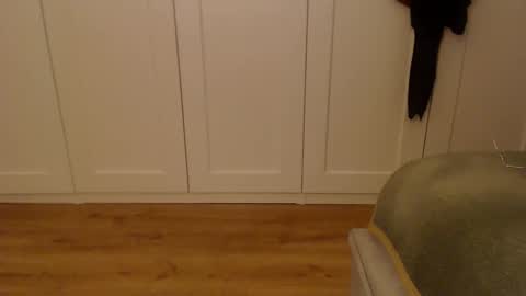 Ifk Donkeys online show from 11.20.25