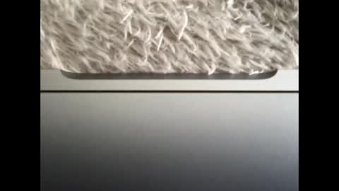 Morvoys online show from 09.14.25