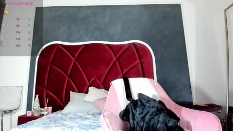 Snapshot of illegal_lorry chatting on 12.28.24 illegal_lorry online show from 12.28.24