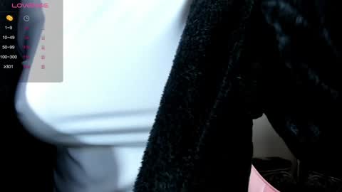 Snapshot of illegal_lorry chatting on 12.30.24 illegal_lorry online show from 12.30.24