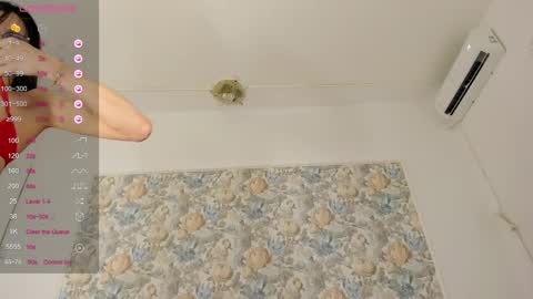 Snapshot of illegal_lorry chatting on 10.19.25 illegal_lorry online show from 10.19.25