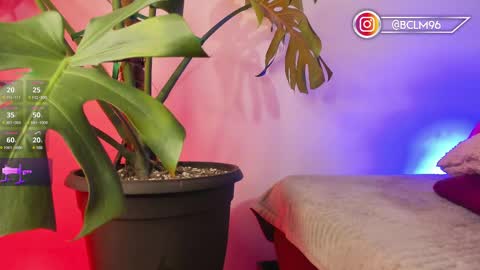 Bryan online show from 02.12.25