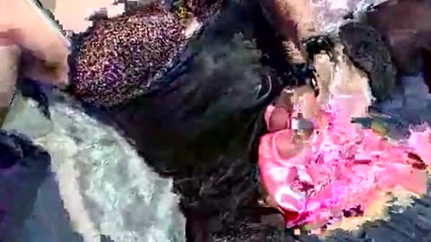 imabigolperv online show from 03.02.26