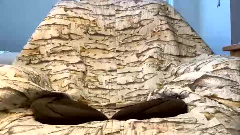 Snapshot of imaginaryvoyage chatting on 12.16.25 thanks for visiting online show from 12.16.25