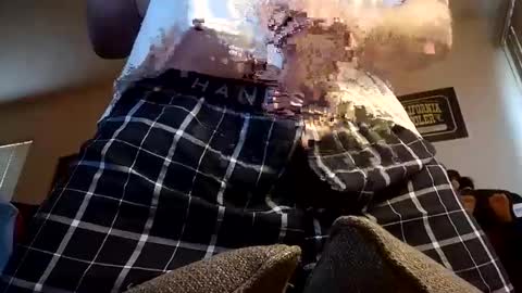 Iminyourroom online show from 03.12.25