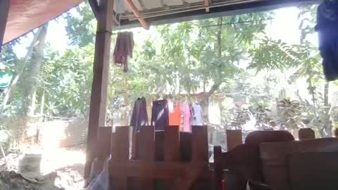 Immaculate02 online show from 02.01.25