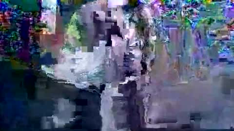 in201943 online show from 03.06.26