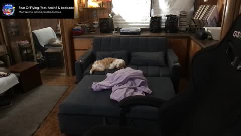 Carter online show from 03.11.26