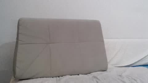 Snapshot of increible_della chatting on 01.20.25 Della online show from 01.20.25