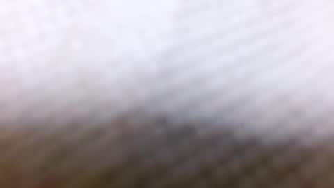 tracy online show from 12.28.24