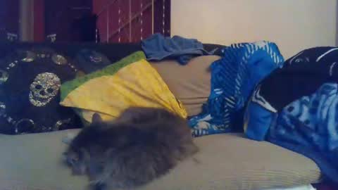 indigo_scorpio online show from 01.30.25