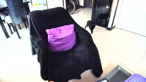 irina online show from 02.15.25