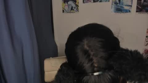 isa 3 online show from 03.03.25