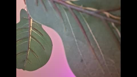 Isabella online show from 09.18.25