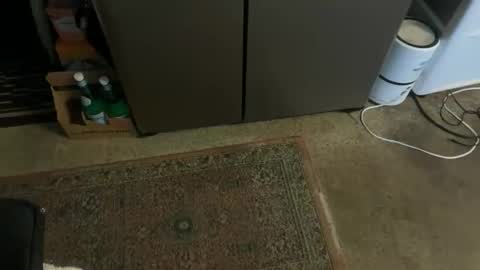 Tony online show from 11.03.25