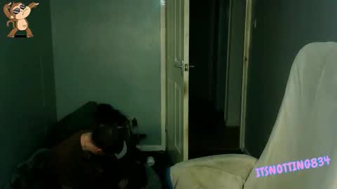    online show from 09.13.25