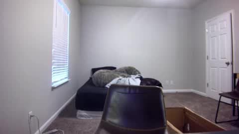 TARZAN online show from 12.13.24