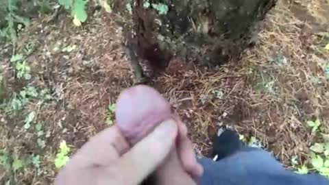 Snapshot of ivan10233 chatting on 10.11.25 ivan10233 online show from 10.11.25