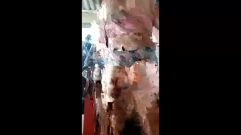 ivanaltrans62 online show from 01.11.26