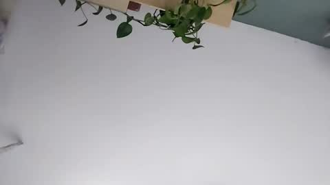 Vanchi online show from 03.07.26