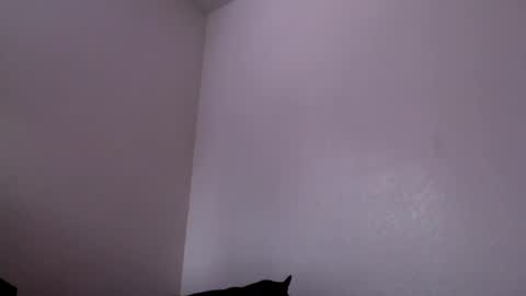 Mugen online show from 02.04.25