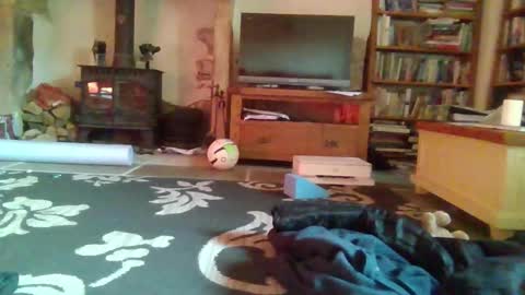 J4ckcock online show from 11.16.25