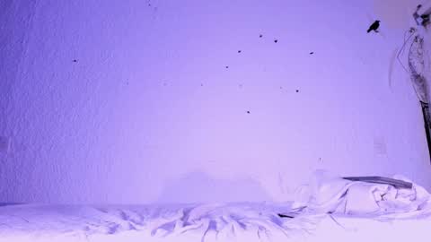 j_martony online show from 11.05.25