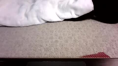 jack_wonder912 online show from 09.13.25