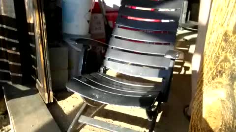 jackeduplittlejoey online show from 04.18.26