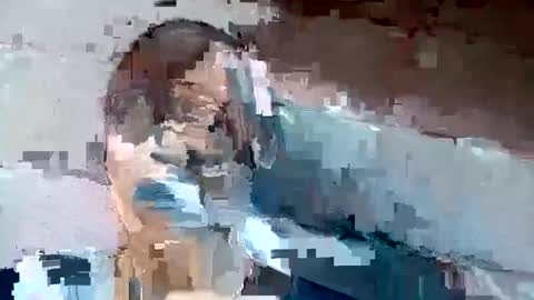 jackie petit online show from 12.02.24