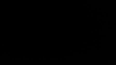 jacksonp41 online show from 05.20.26