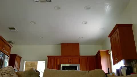 jacktome369 online show from 11.11.25