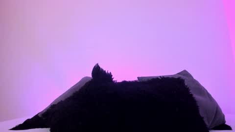 Mady online show from 12.20.24