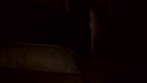 Jamacian online show from 02.02.25