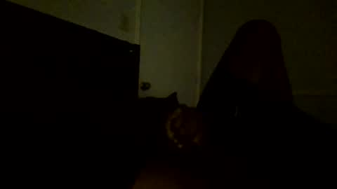 Jamacian online show from 02.25.25