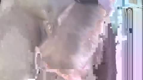 jack online show from 09.21.25