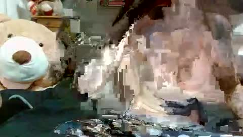 Arial Willow online show from 04.26.26