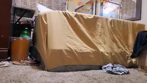 Bootyshows online show from 12.02.25