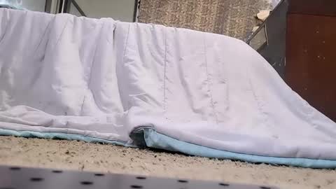 Bootyshows online show from 02.20.26