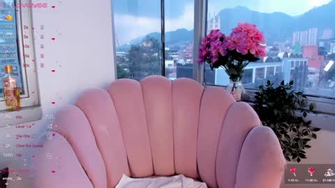 Snapshot of jane_es chatting on 12.26.24 JANE online show from 12.26.24